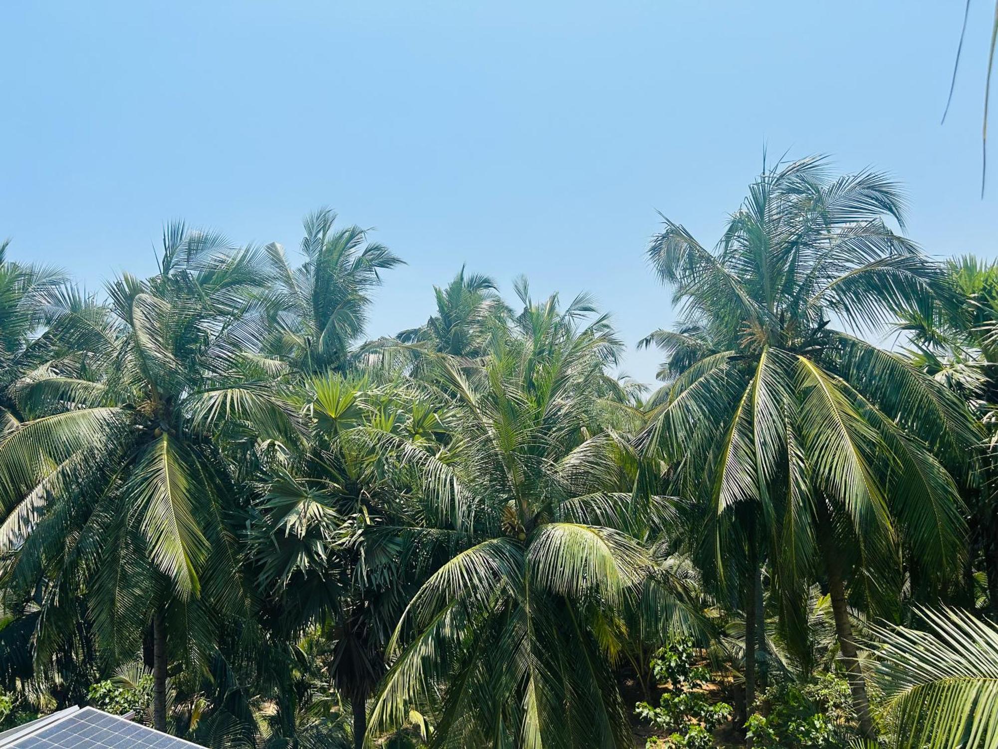 Pearl Bungalow Trincomalee Exteriör bild