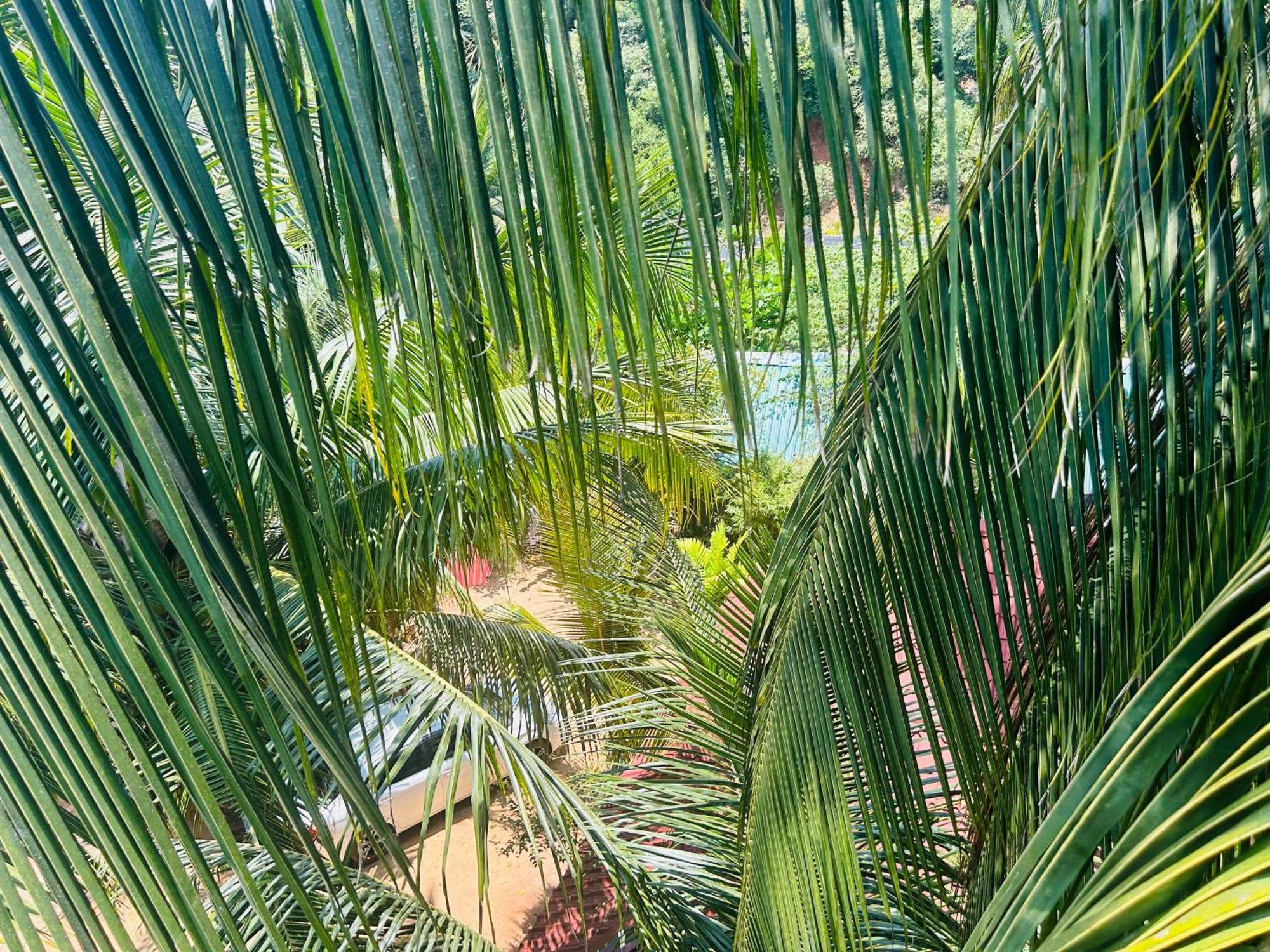 Pearl Bungalow Trincomalee Exteriör bild